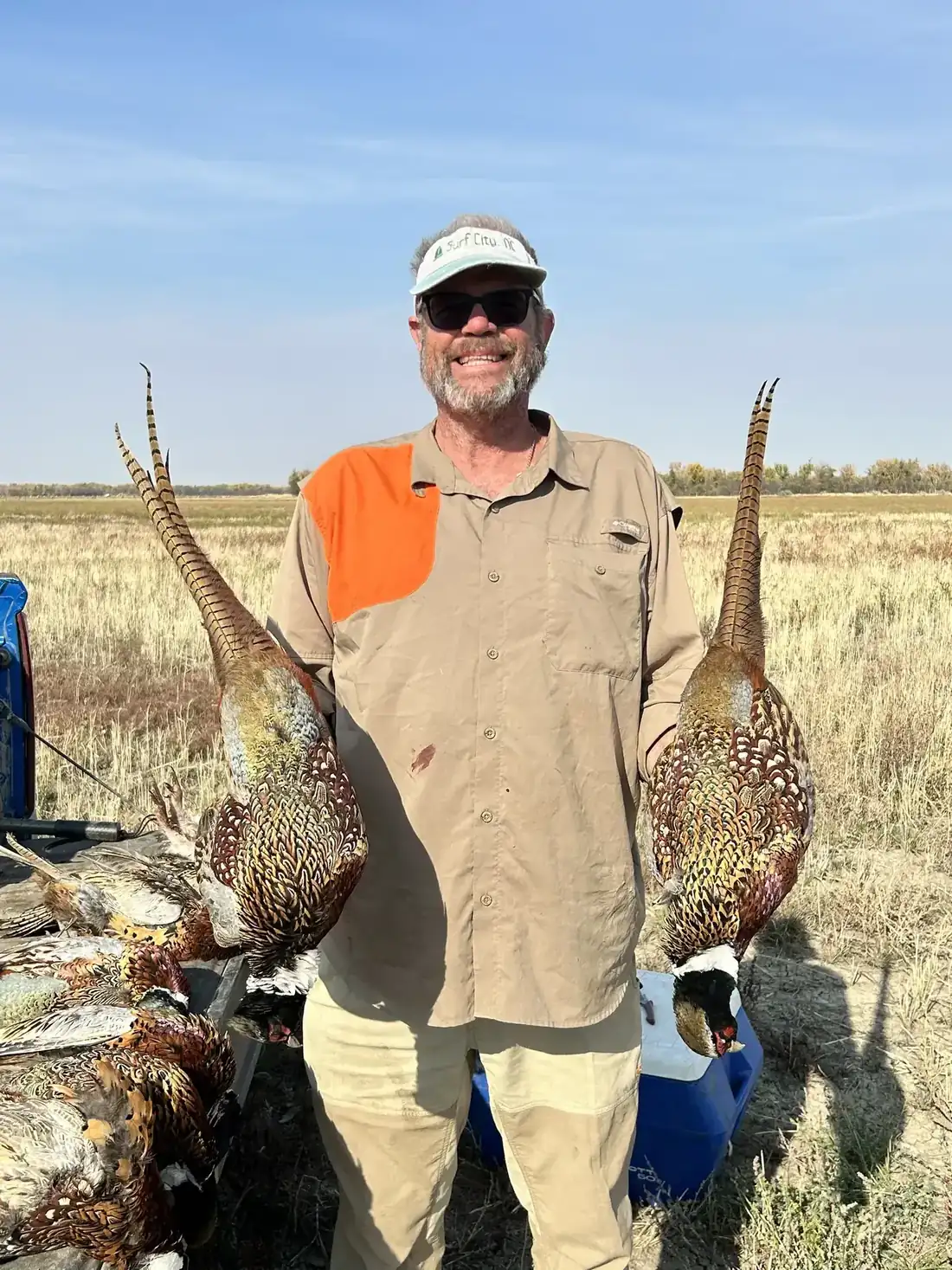 A pair of roosters