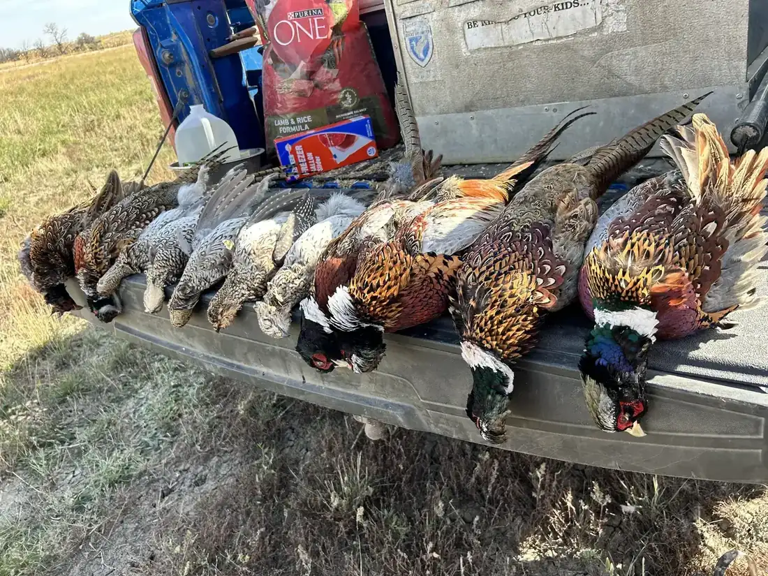 A tailgate of Tennessee roosters