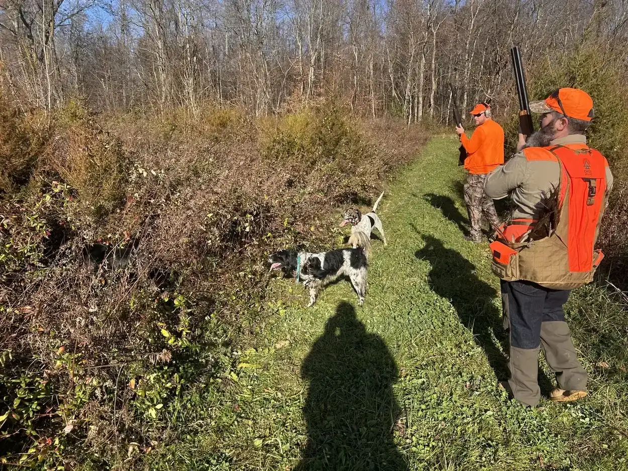 Hunter working tall cover