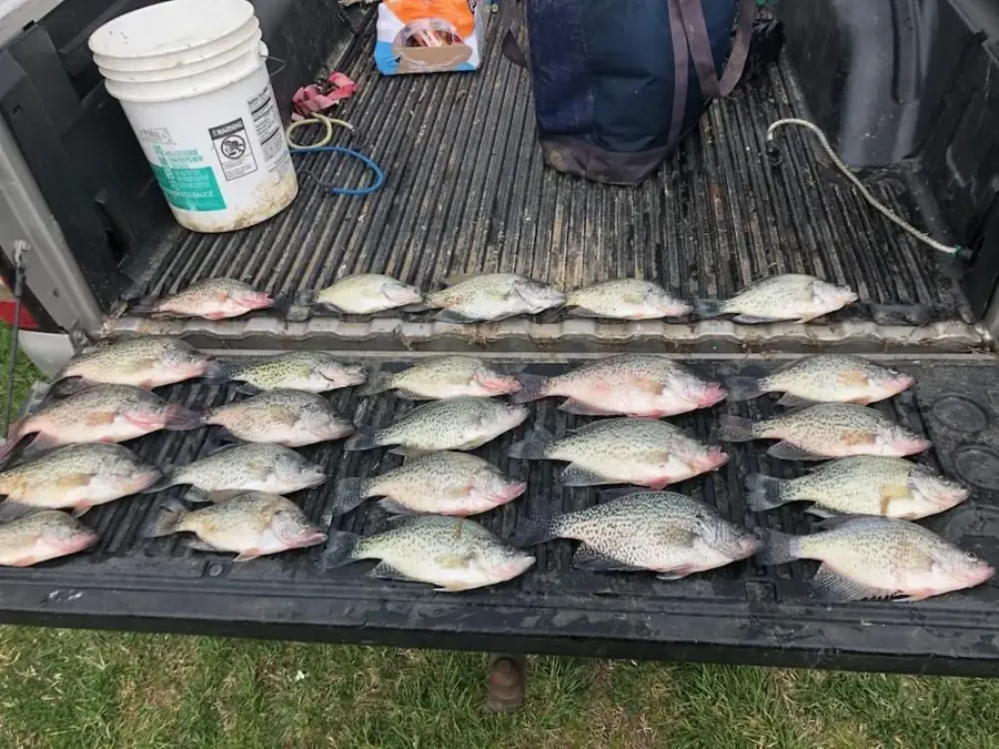 Crappie from an East Tennessee cast and blast trip