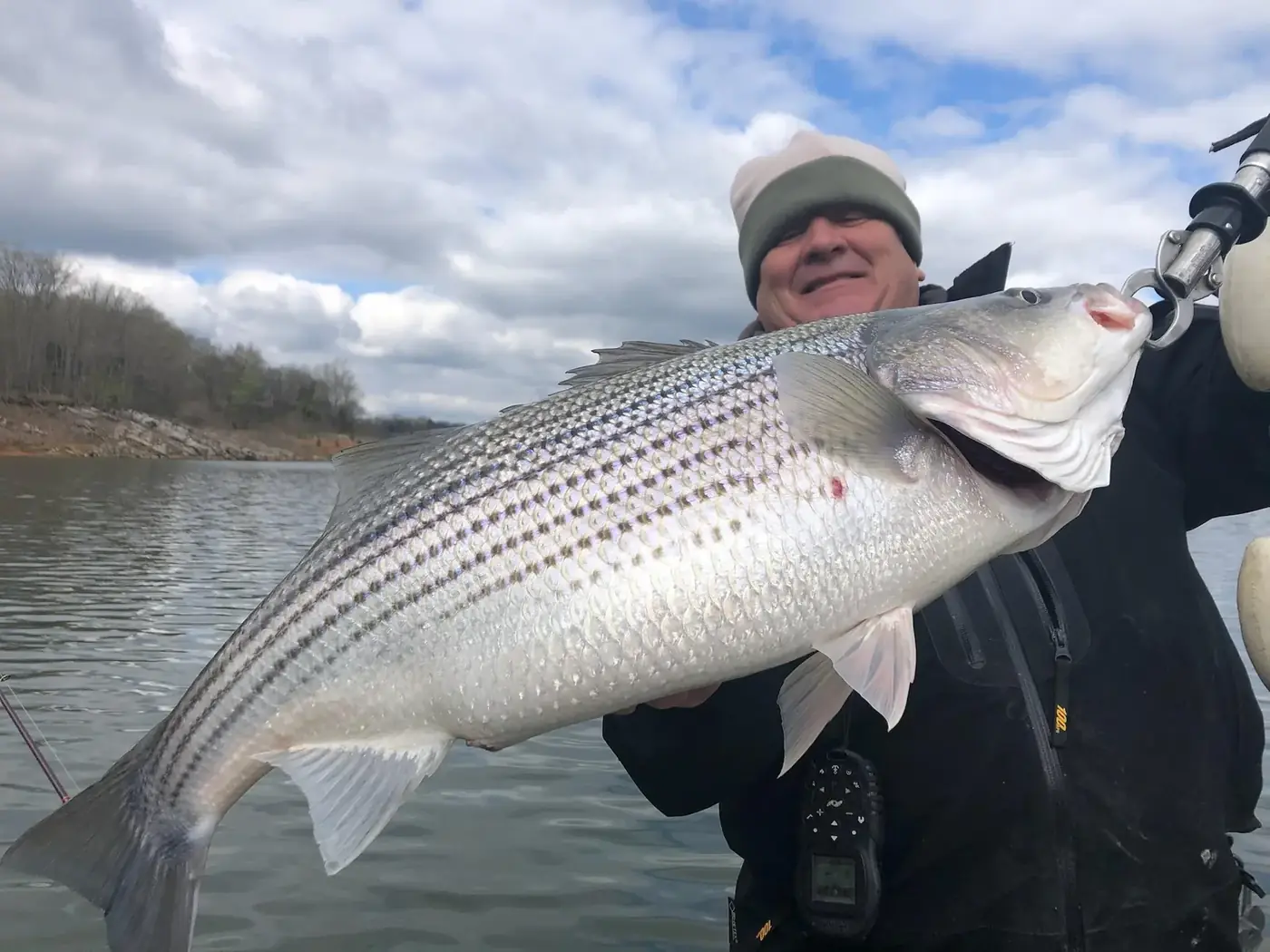 An East Tennessee striper caught on a cast and blast trip