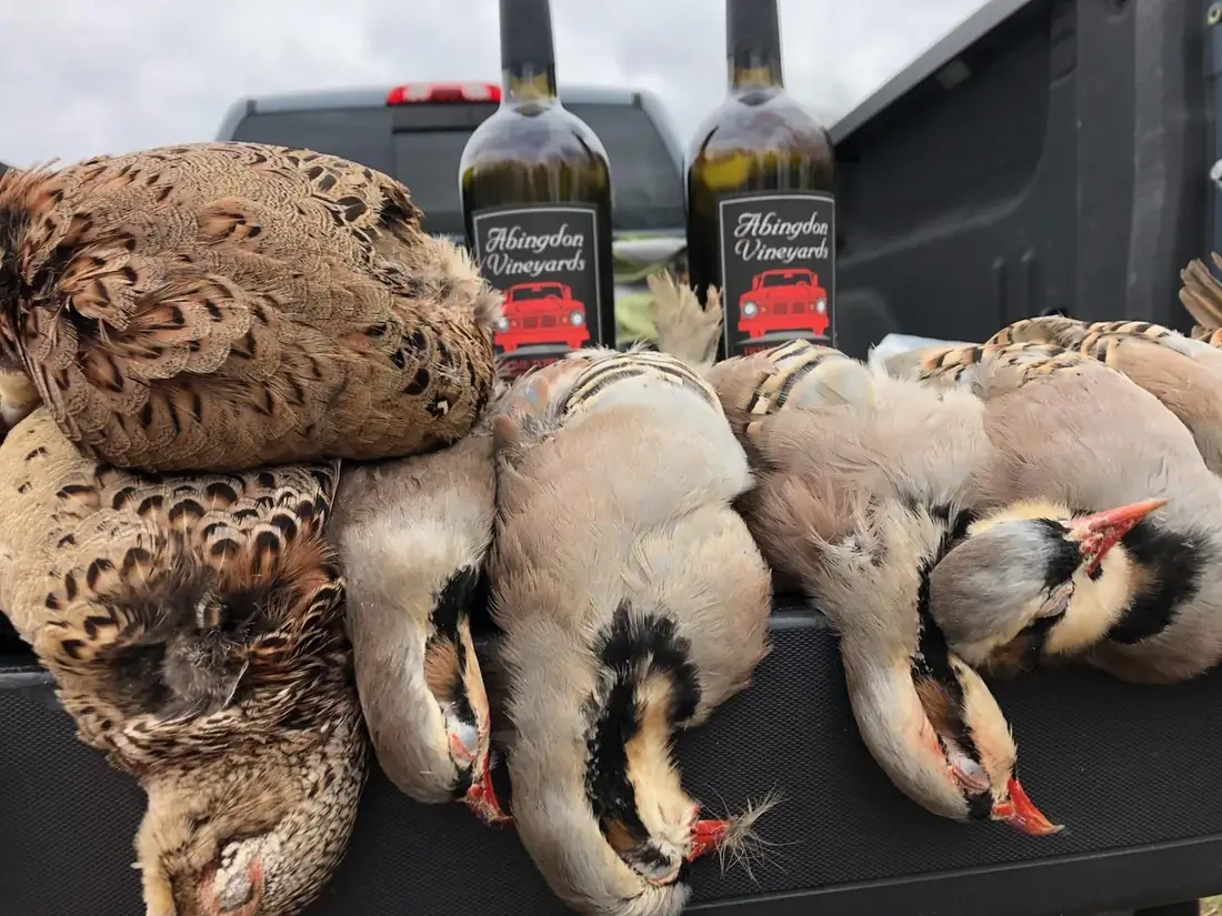 Pheasant and quail laid out at the end of the day