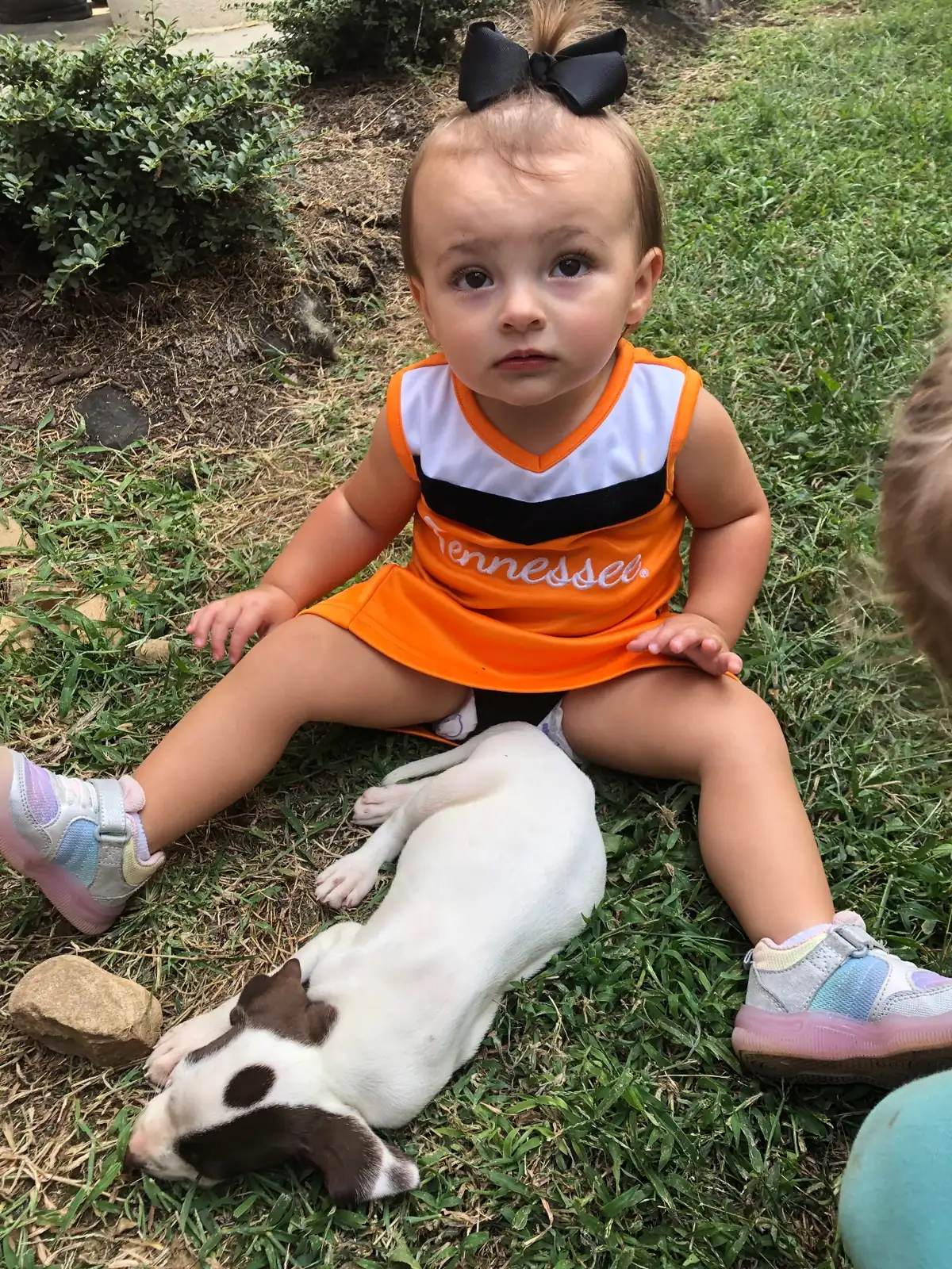 A young R&D fan sitting in the shade with a pointer pup